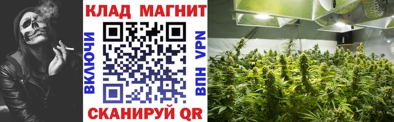 Купить наркотики цена Вытегра Гашиш Alpha-PVP КОКАИН Меф мяу мяу Псилоцибиновые грибы Канабис