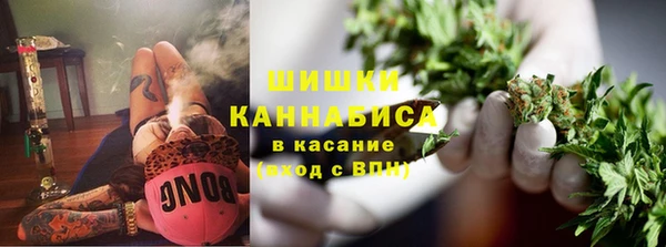 шишки Белоозёрский