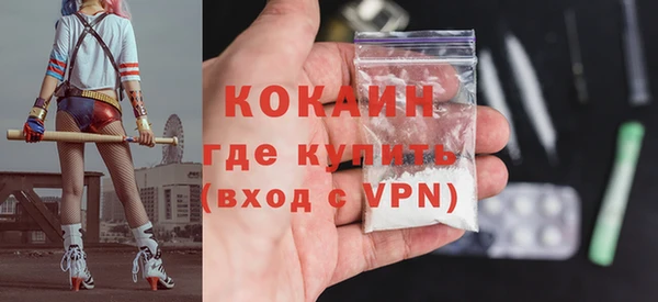 шишки Белоозёрский