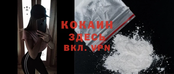 твердый Белокуриха