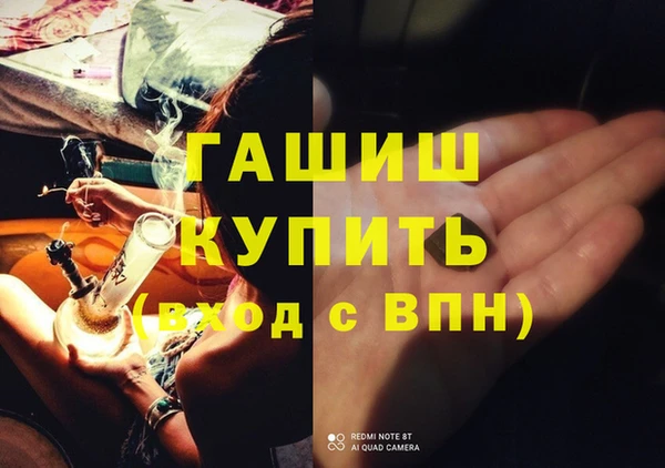 шишки Белоозёрский