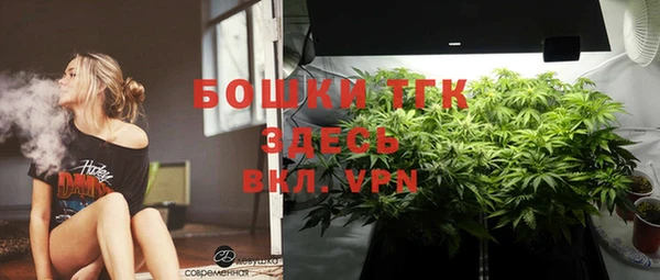 шишки Белоозёрский