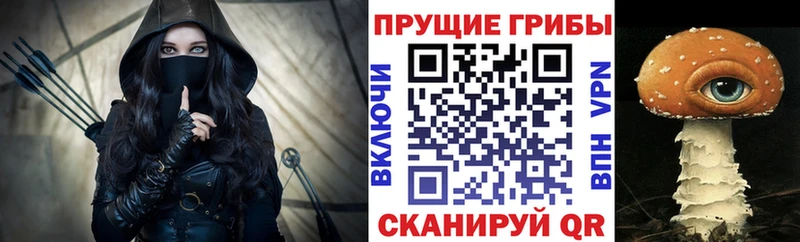 ссылка на мегу ONION  Вытегра  Псилоцибиновые грибы GOLDEN TEACHER 